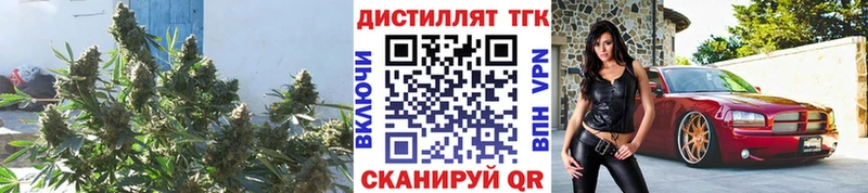 купить наркотик  Шелехов  ТГК концентрат 