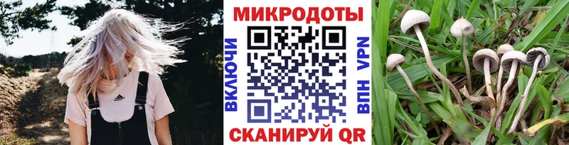 Галлюциногенные грибы Cubensis  Шелехов 